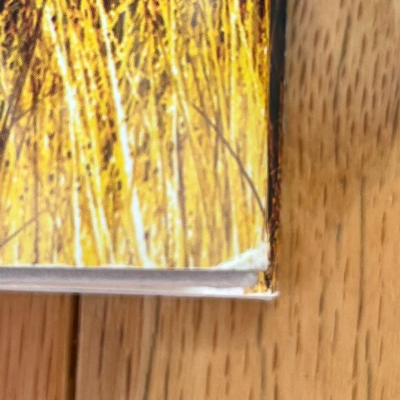 The Dry: by Jane Harper - Picture 7 of 7